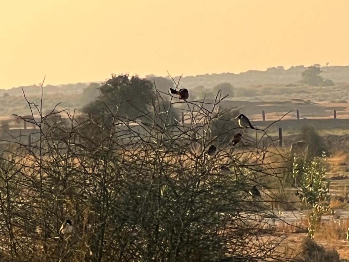 Golden Villa Jaisalmer Εξωτερικό φωτογραφία